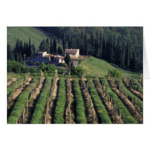 Europa, Italien, Toskana. Malerische Villa Zypern.