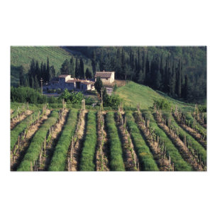Europa, Italien, Toskana. Malerische Villa Zypern. Fotodruck