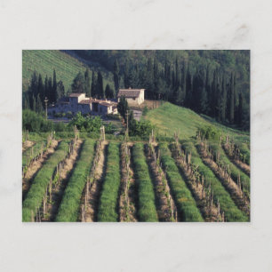 Europa, Italien, Toskana. Malerische Villa Zypern. Postkarte