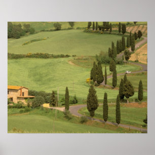 Europa, Italien, Toskana, Monticchiello. Curvy Poster