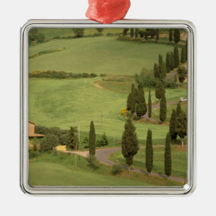 Europa, Italien, Toskana, Monticchiello. Kurvenrei Silbernes Ornament