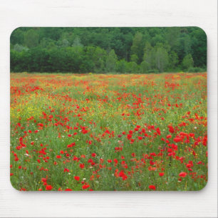 Europa, Italien, Toskana, rote Mohnblumen auf dem Mousepad