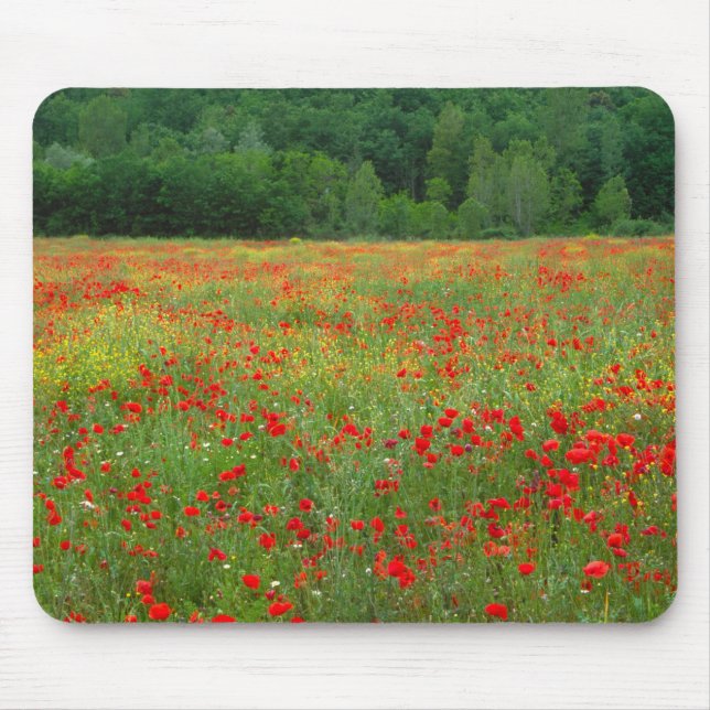 Europa, Italien, Toskana, rote Pfeffer im Feld. Mousepad (Vorne)