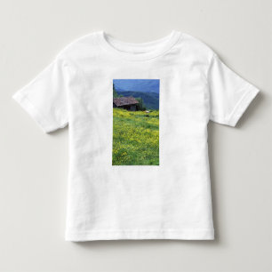 Europa, Italien, Toskana, Siena, Chianti. Kleinkind T-shirt