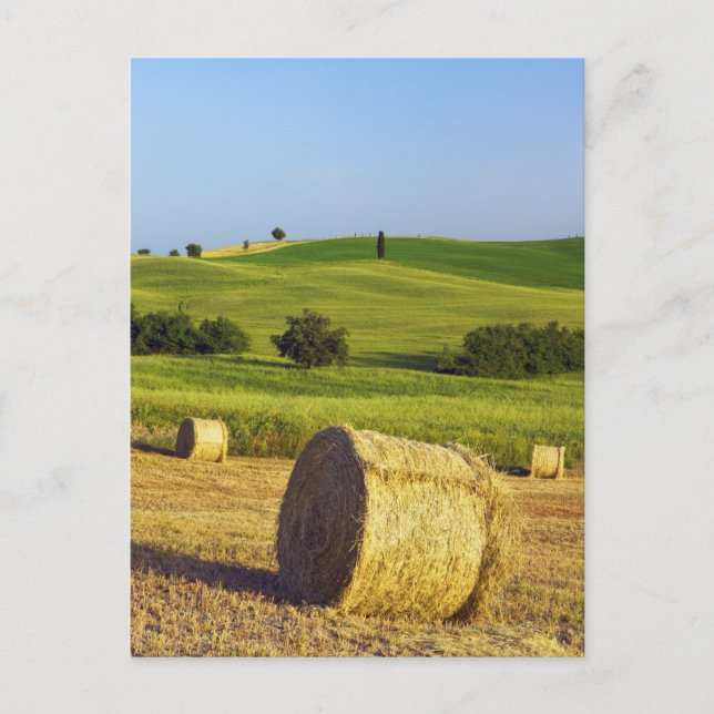 Europa, Italien, Toskana, Val d'Orcia, Pienza - Postkarte (Vorderseite)