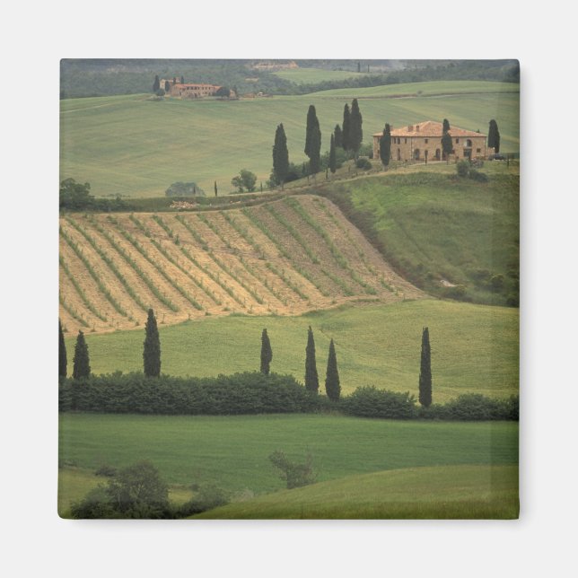 Europa, Italien, Toskana, Val d'Orcia, Toskana Magnet (Vorne)