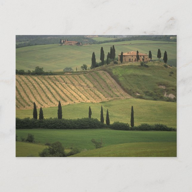 Europa, Italien, Toskana, Val d'Orcia, Toskana Postkarte (Vorderseite)