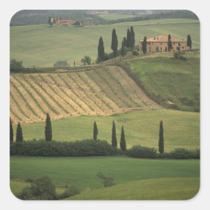 Europa, Italien, Toskana, Val d'Orcia, Toskana Quadratischer Aufkleber