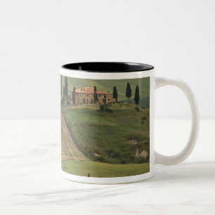 Europa, Italien, Toskana, Val d'Orcia, Toskana Zweifarbige Tasse