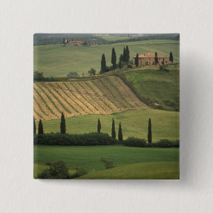 Europa, Italien, Toskana, Val d'Orcia, Toskanisch Button