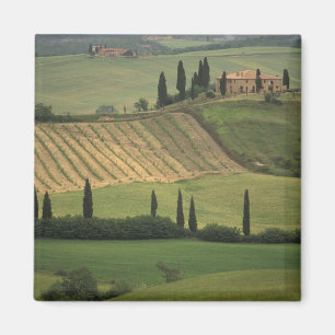 Europa, Italien, Toskana, Val d'Orcia, Toskanisch Magnet