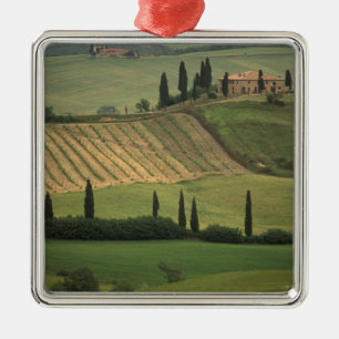 Europa, Italien, Toskana, Val d'Orcia, Toskanisch Silbernes Ornament