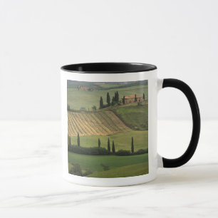 Europa, Italien, Toskana, Val d'Orcia, Toskanisch Tasse