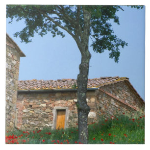 Europa, Italien, Toskana, verlassene Villa in Fliese