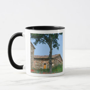 Europa, Italien, Toskana, verlassenes Landhaus in Tasse