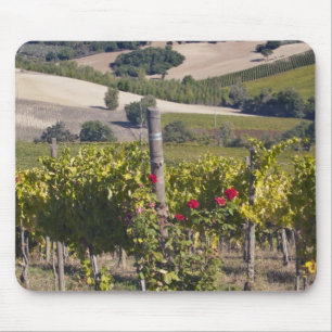Europa, Italien, Umbrien, bei Montefalco, Weinberg Mousepad