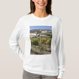 Europa, Italien, Umbrien, nahe Montefalco, T-Shirt