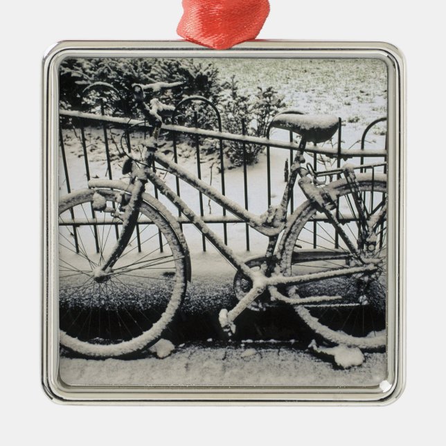 Europa, Niederlande, Amsterdam.A Ornament Aus Metall (Vorne)