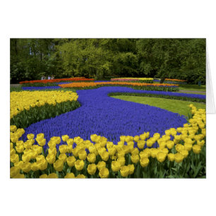 Europa, Niederlande, Holland, Lisse, Keukenhof