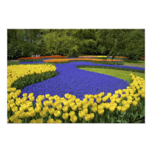 Europa, Niederlande, Holland, Lisse, Keukenhof Fotodruck