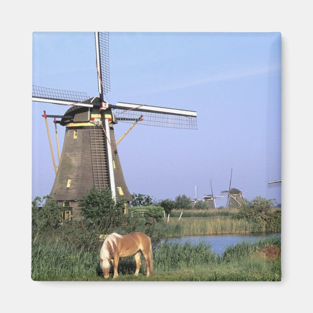 Europa, Niederlande, Zuid Holland, Kinderdijk. 2 Magnet (Vorne)