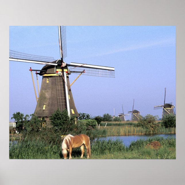 Europa, Niederlande, Zuid Holland, Kinderdijk. 2 Poster (Vorne)