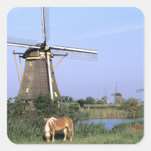 Europa, Niederlande, Zuid Holland, Kinderdijk. 2 Quadratischer Aufkleber