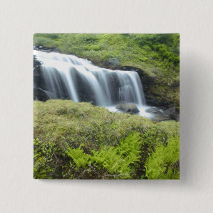 Europa, Norwegen. Wasserfall. Button