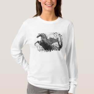 Europa, Österreich, Salzburg. Flügelpferdstatue, T-Shirt