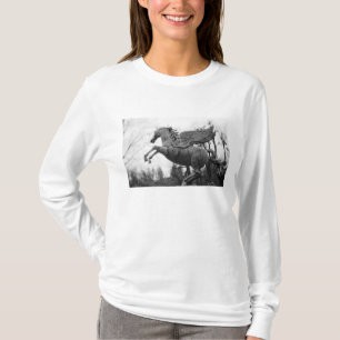 Europa, Österreich, Salzburg. Pferdestatue, 2 T-Shirt