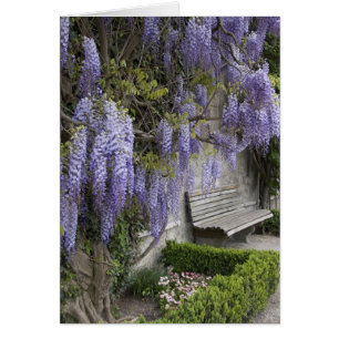 Europa, Österreich, Salzburg Stadt, Salzburg,