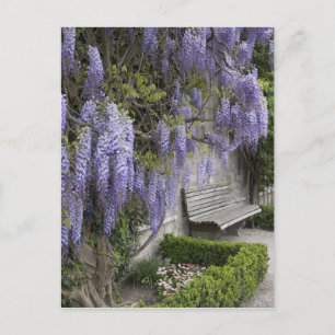 Europa, Österreich, Salzburg Stadt, Salzburg, Postkarte