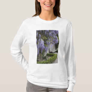 Europa, Österreich, Salzburg Stadt, Salzburg, T-Shirt