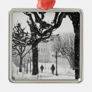 Europa, Österreich, Salzburg. Winter, Silbernes Ornament
