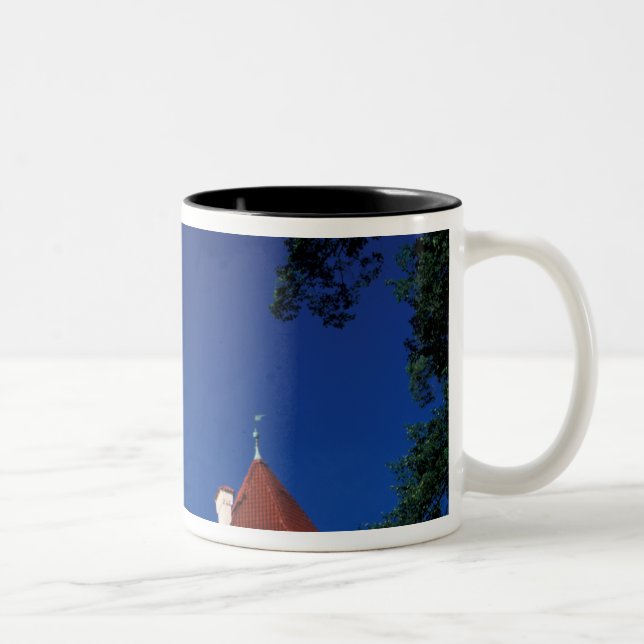 Europa, Schloss Konopiste, Tschechische Republik,  Zweifarbige Tasse (Rechts)