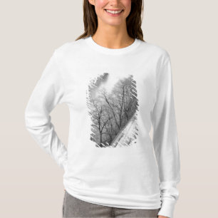 Europa, Schweiz, Bern. Übersicht über die Aare T-Shirt