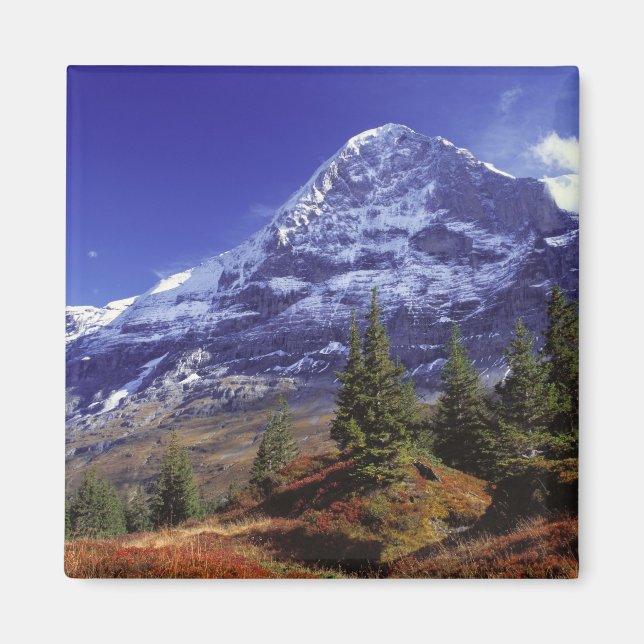 Europa, Schweiz, Eiger. Herbstfarben gibt es Magnet (Vorne)