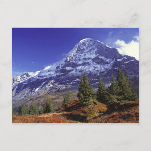 Europa, Schweiz, Eiger. Herbstfarben im Überfluss Postkarte