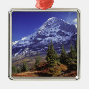 Europa, Schweiz, Eiger. Herbstfarben sind reichlic Silbernes Ornament