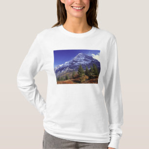 Europa, Schweiz, Eiger. Herbstfarben sind reichlic T-Shirt