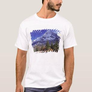 Europa, Schweiz, Eiger. Herbstfarben sind reichlic T-Shirt