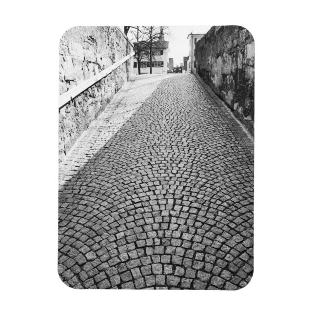Europa, Schweiz, Zürich. Cobbled Street Magnet (Vertikal)