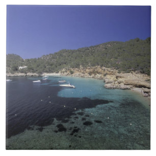 Europa, Spanien, Balearen, Ibiza, Cala Salada. Fliese