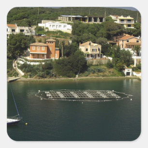 Europa, Spanien, Menorca (auch Menorca). Fisch Quadratischer Aufkleber