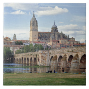Europa, Spanien, Salamanca. Die römische Brücke Fliese