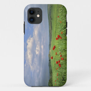 Europa, Toskana, Poggiolo. Rote Mohnblumen schwank Case-Mate iPhone Hülle