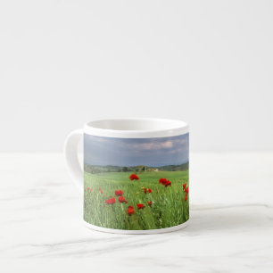 Europa, Toskana, Poggiolo. Rote Mohnblumen schwank Espressotasse