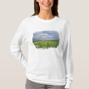 Europa, Toskana, Poggiolo. Rote Mohnblumen schwank T-Shirt