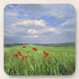 Europa, Toskana, Poggiolo. Rote Mohnblumen schwank Untersetzer