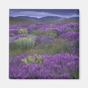 Europa, Türkei, Kappadokien. Ländliche Landschaft Magnet
